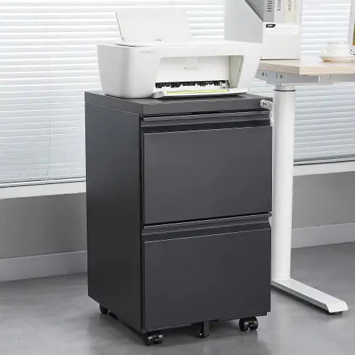 2-drawer Filing Cabinet With Lock